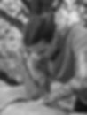 3P1A3301-BW_edited.jpg