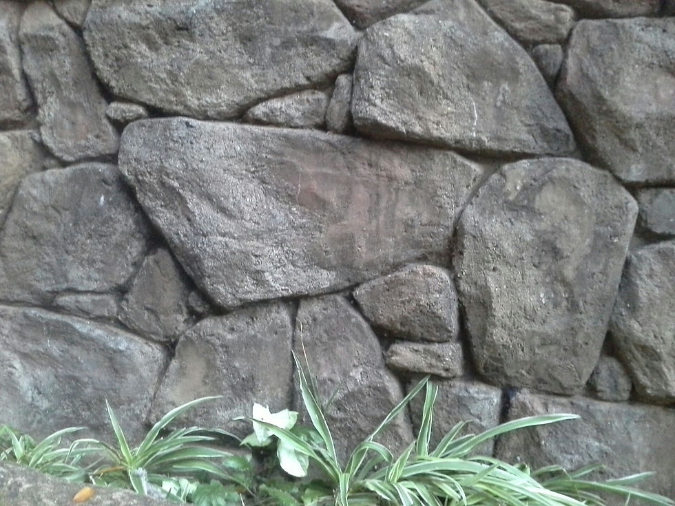 20140606_064729_resized
