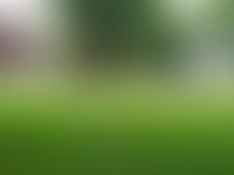 BrickInn Front Yard in Spring Near Letchworth State Park North Entrance