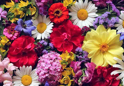 flower pic 10.jpg