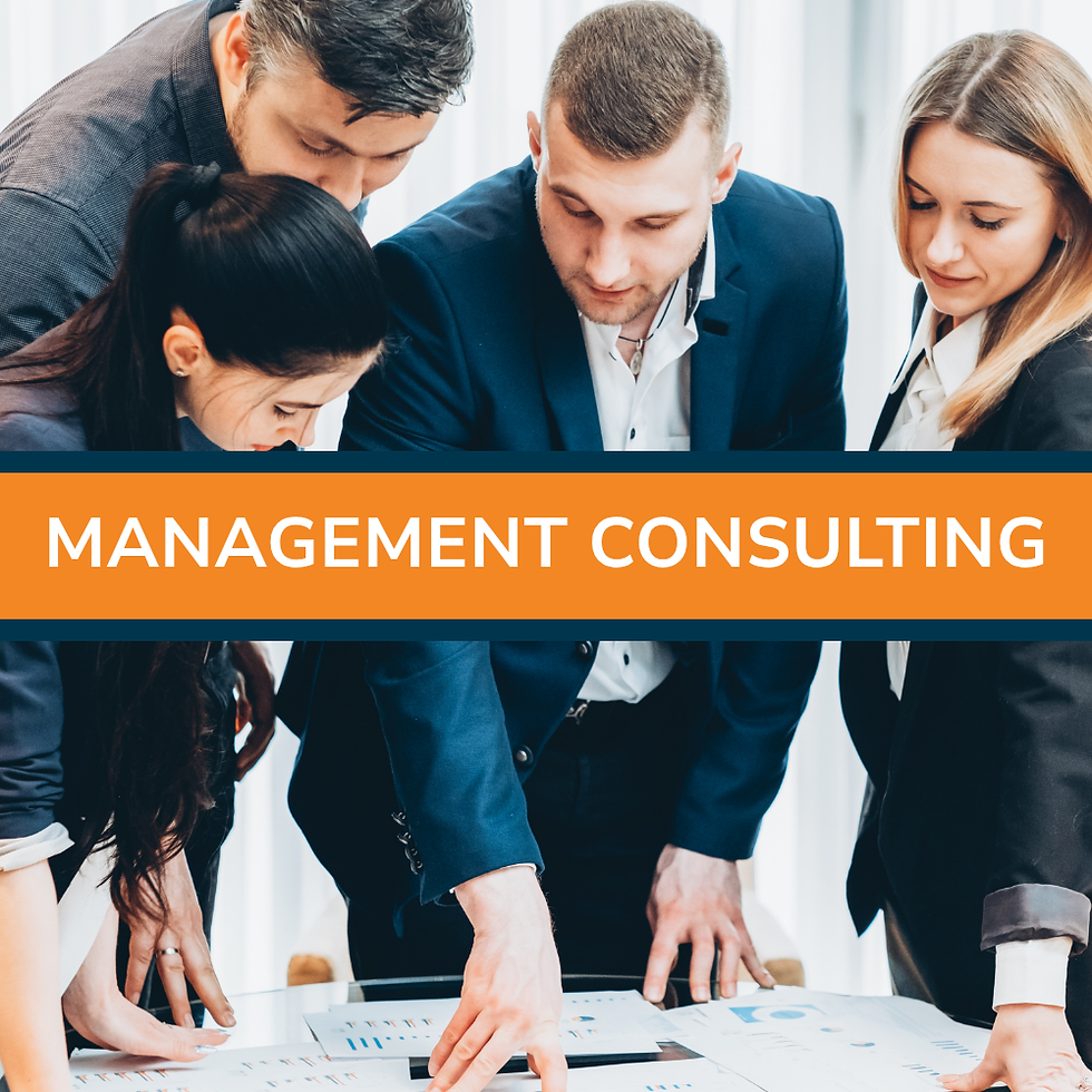 Management Consulting