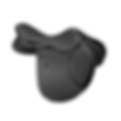 arena-jump-saddle_edited.png
