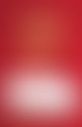 鹿の角が楽天市場で売上ランキング1位となりました。