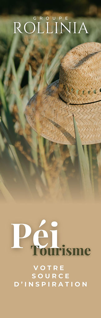 Le nom du groupe, un champ d'ananas et un chapeau