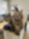 IMG_9410.jpeg