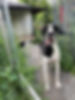 IMG_4065.jpeg