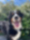 IMG_9508.jpeg