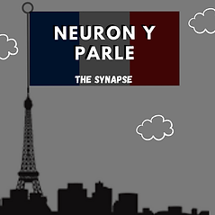 Neuron-y-Parle Cover Art 2 (3).png