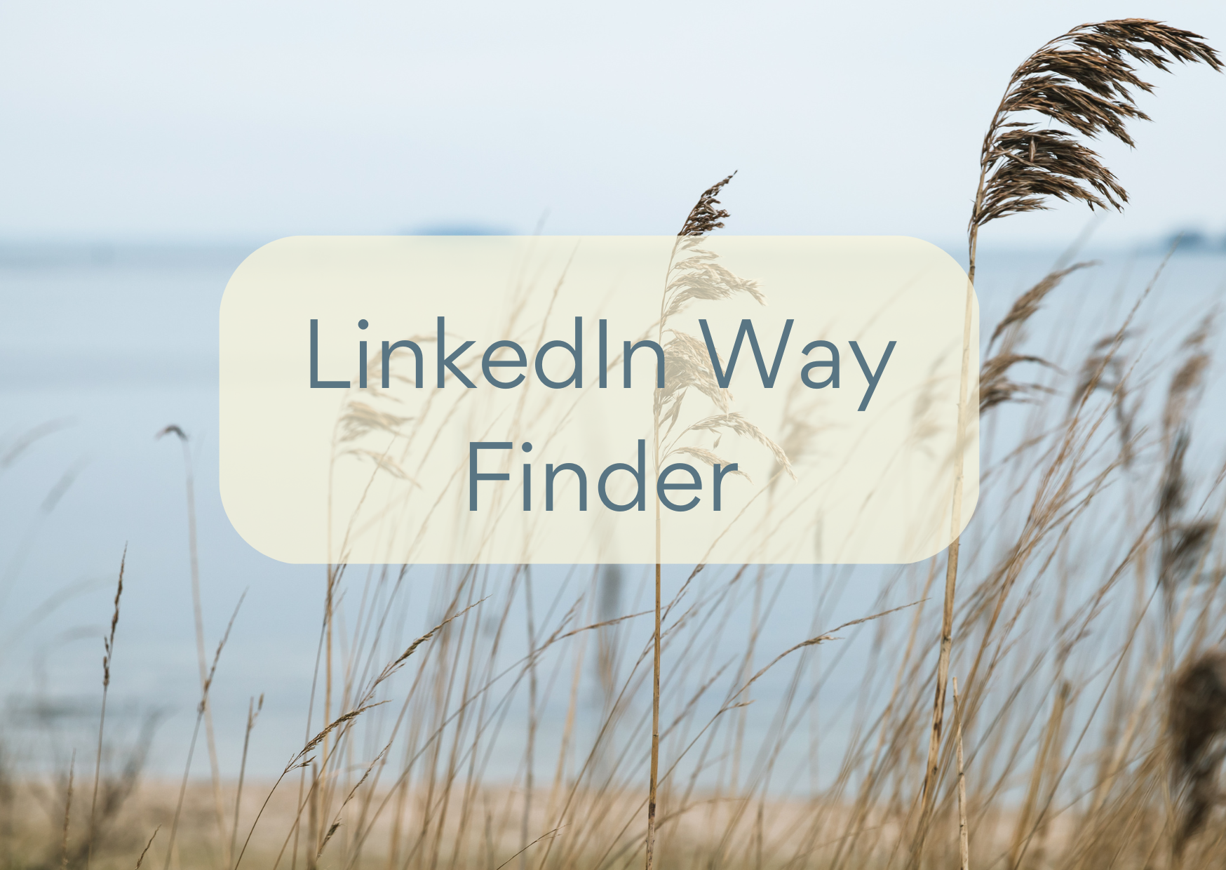 LinkedIn Wayfinder