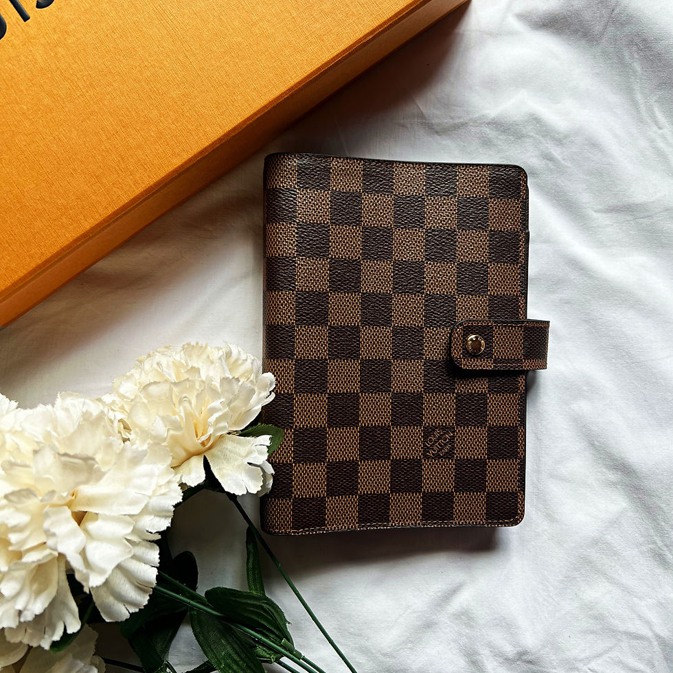 Louis Vuitton MM Agenda (Damier Ebene)