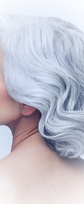 Stylish Silver Hairdo_edited.jpg
