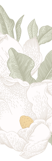 AdobeStock_120618623 _12_edited.png