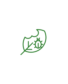 Untitled design (26).png