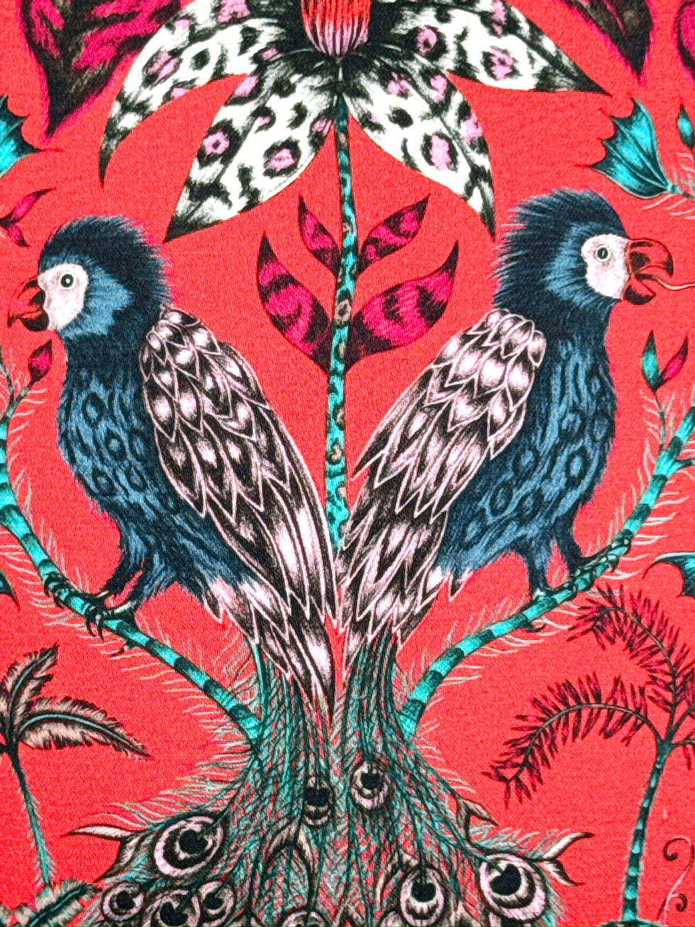 Thumbnail: Emma J Shipley - Amazon Red Lampshade