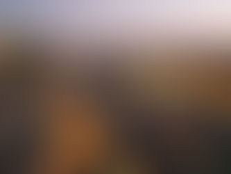 Votre guide pour trouver des avocats fiables au Portugal