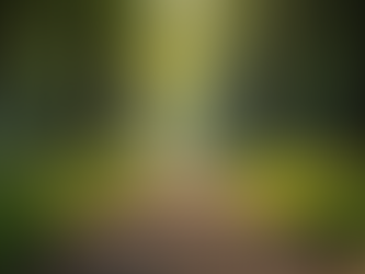 African Cosmology and the Future of Healing