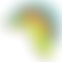 🏀 Emerald Coast Classic Preview: Thanksgiving Hoops in Florida