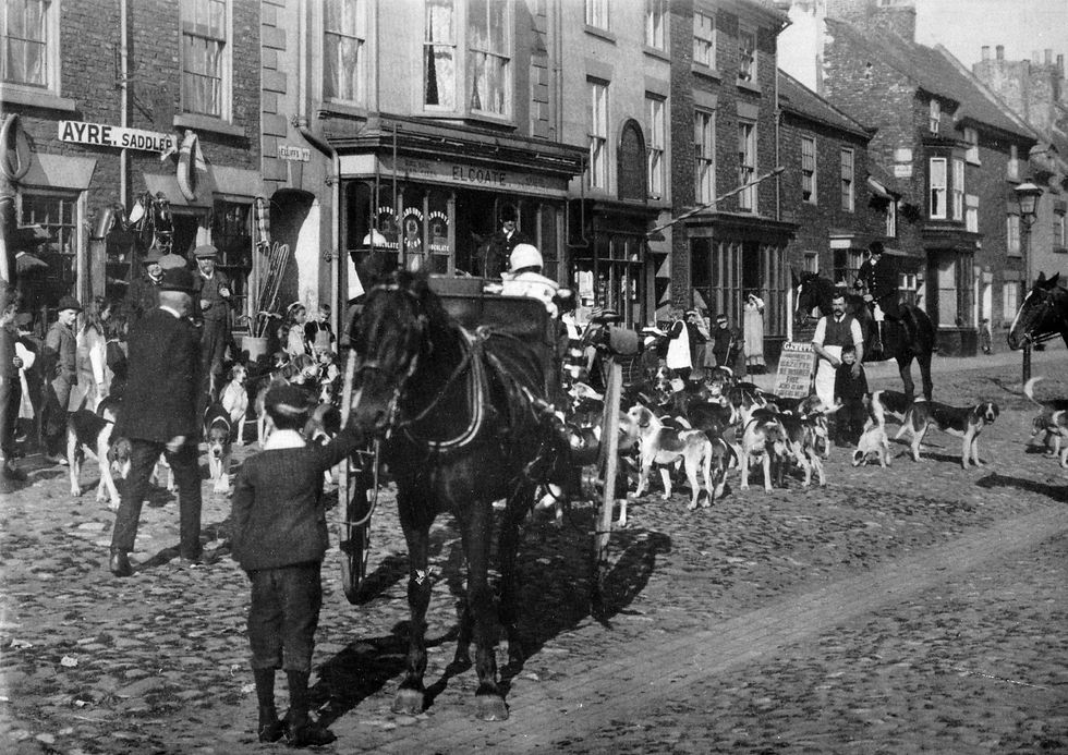 Hurworth Hunt Outside Ayre Saddler 1911