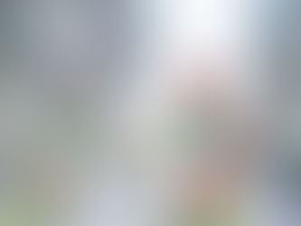 成人式(二十歳)写真