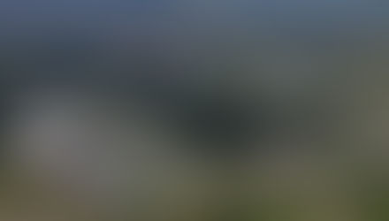 F1: 14ª Etapa