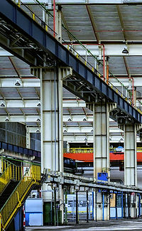 pexels-pixabay-236705 1_edited.jpg