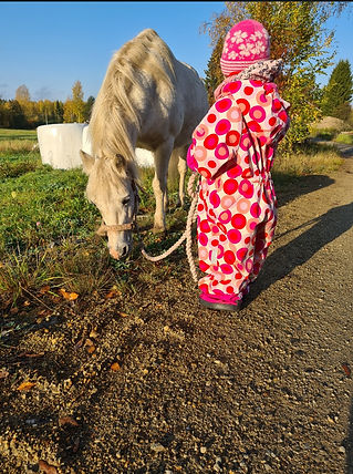 Ponikävelyllä