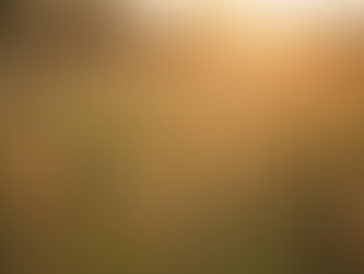 The Value of Ethical Skincare Products