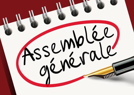 Assemblées générales: besoin d'aide pour l'organiser en visio ?