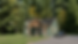 Lot 13-Scene 2.png