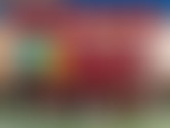 Echos des Sauniers : résultats du 1er Mars