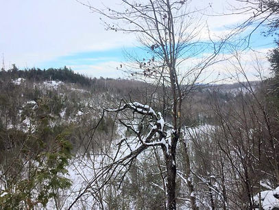 Lac Bran-de-scie.jpg