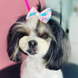 AB4D4FD7-503F-4BB3-9974-1E7E68273D89