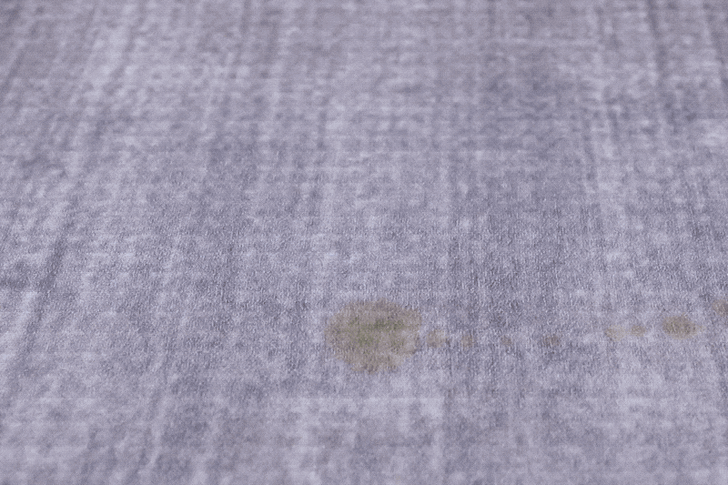 CR5A0434.2021-03-25 17_42_01 (1).gif