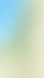 Thy Kingdom Come: How a Rebellion Became a Kingdom