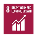 ODS 8