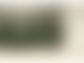 União Cristã da Mocidade Sec XIX