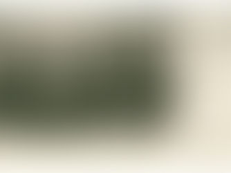 União Cristã da Mocidade Sec XIX