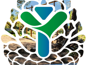 YMCA Wilderness Summer Camp