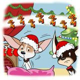 Ringo and Norbie for christmas