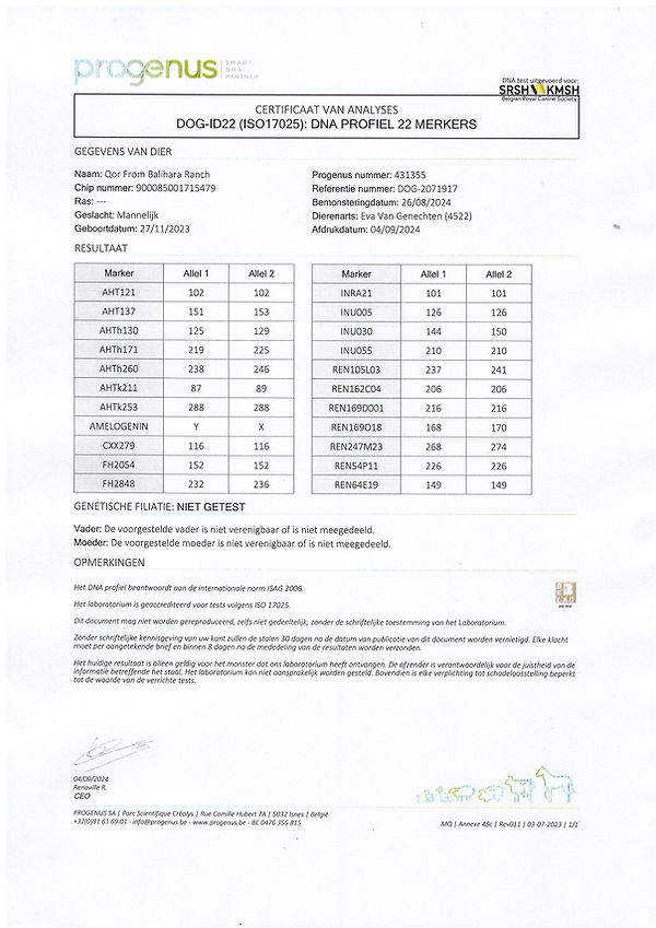 DNA Profil.jpg