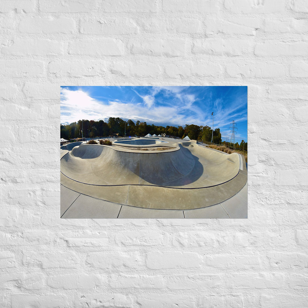 Virginia Beach Virginia Skatepark 23in x 33in Poster