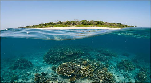 dramatic-split-level-over-under-of-coral-reef-and-coastline-pulau-moyo-photo.jpg