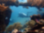 scuba-diving-in-tulamben.jpg