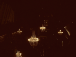 Jellyfish Chandeleirs