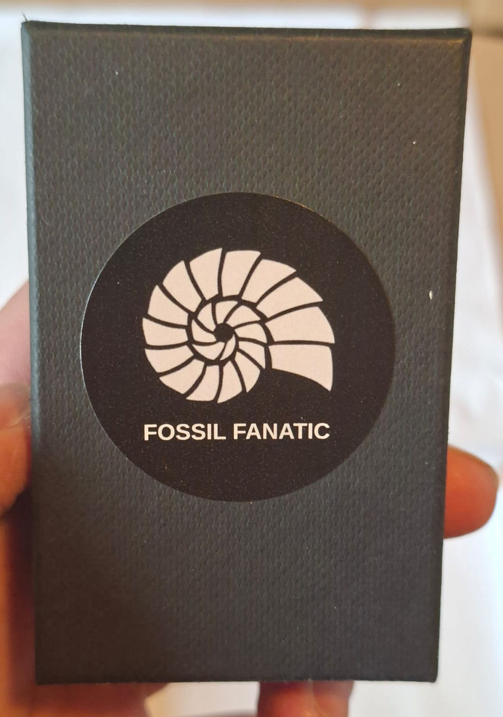 Thumbnail: Mosasaur tooth in a smart display box