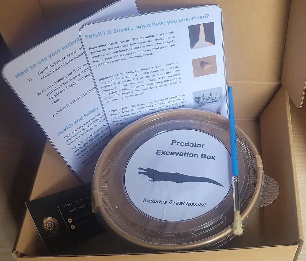 Thumbnail: Predator Excavation Kit