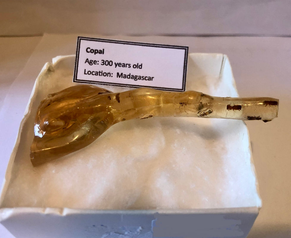Thumbnail: Madagascan Copal