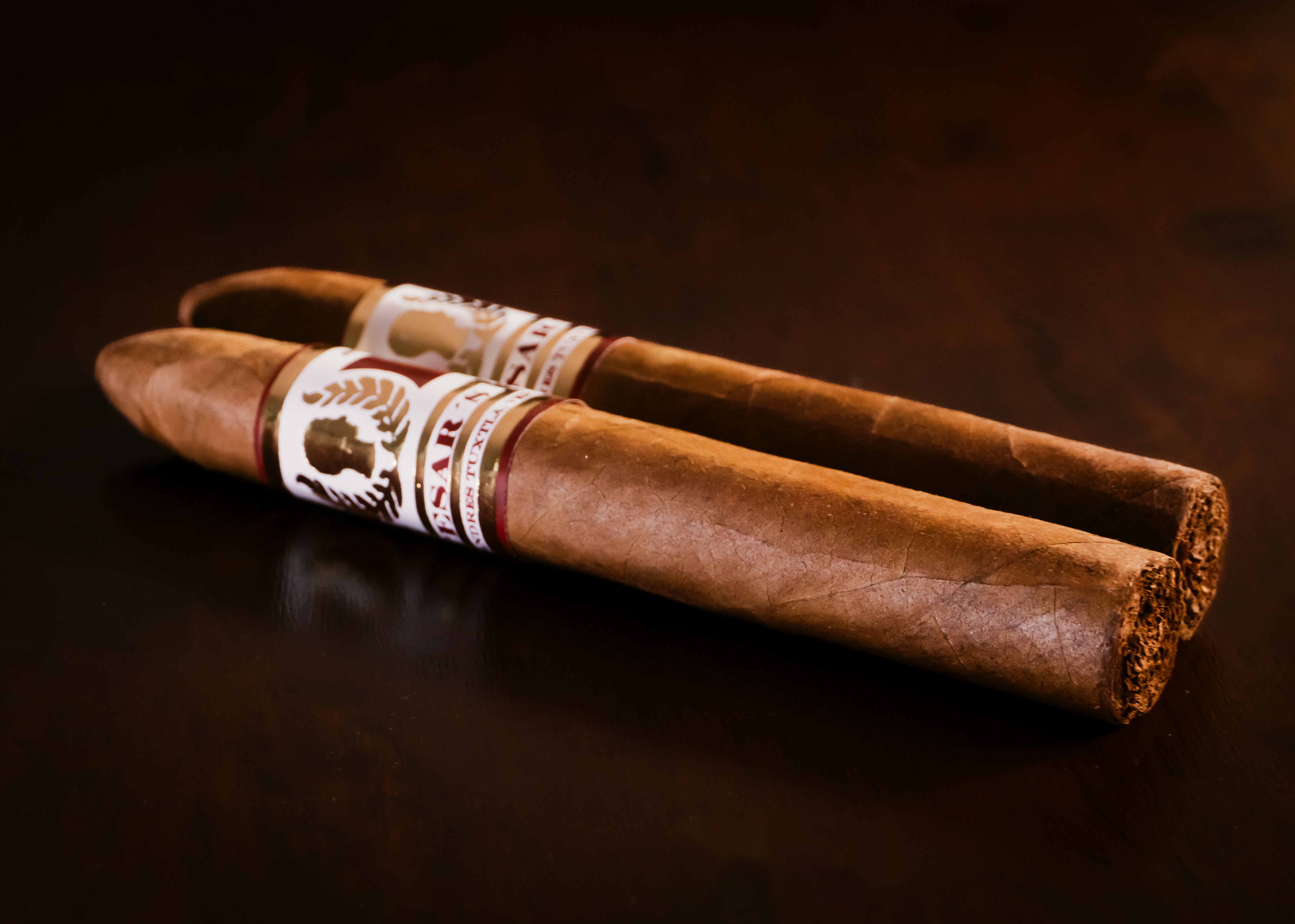 Puro Cesar's Pirámide Casa de Puros Rabelo, artesanal long filler de San Andrés Tuxtla. Calidad premium.