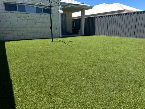Neatly Maintained Backyard and Patio