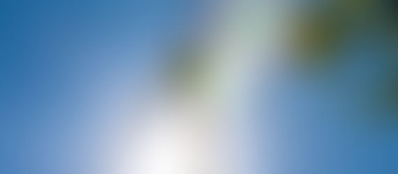 Online-Infoveranstaltung zur Windenergie im Landkreis Pfaffenhofen  |  Mitschnitt vom 19. Mai verfügbar